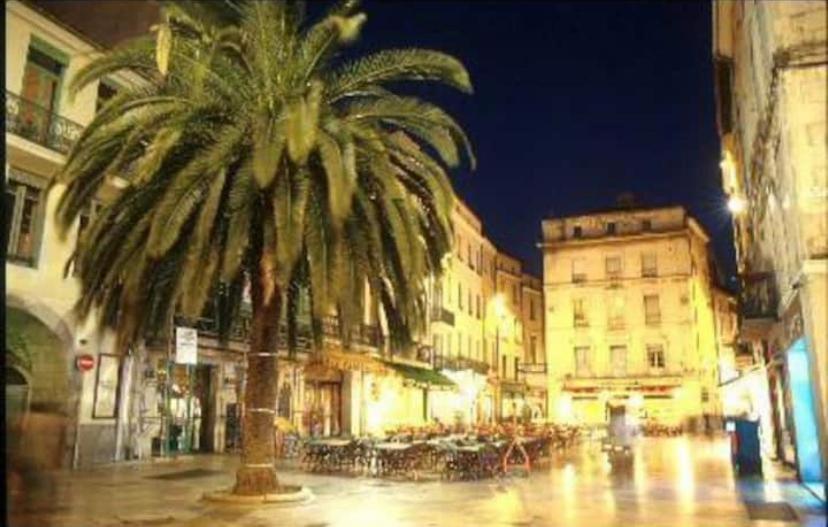 Studio Cosy Au Coeur De L'Ecusson - Arenes A 2 Min Nîmes Kültér fotó